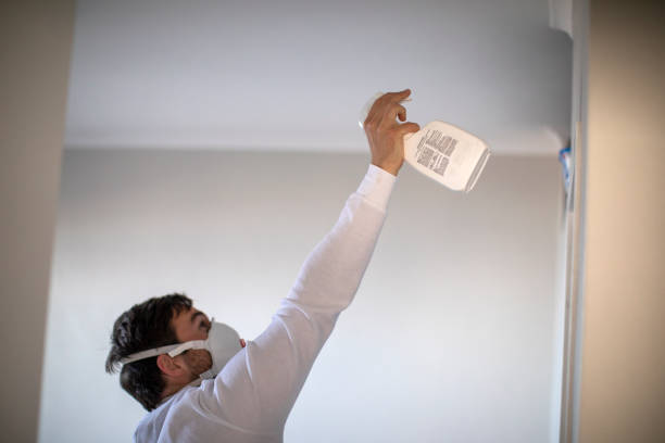 Best Residential Mold Remediation in Galesburg, IL