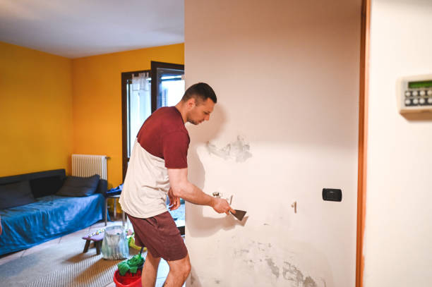 Best Mold Remediation for Schools in Galesburg, IL